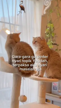 Kacau sikit