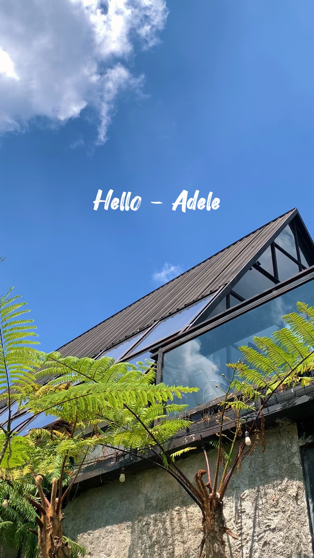 Adele - olá 