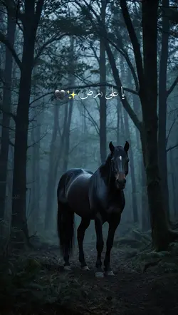 Janam fidaye haideri