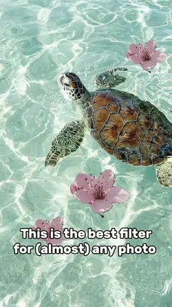 best filter