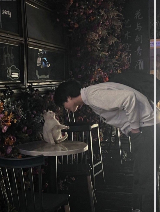 Simsiyah bir gece...