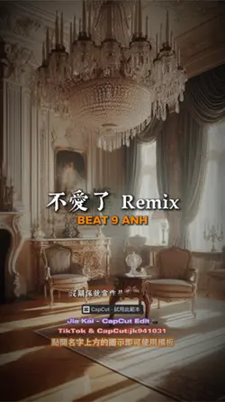 不愛了  Remix