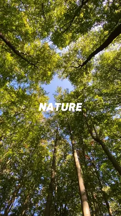 Nature 