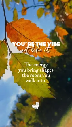 you're the vibe