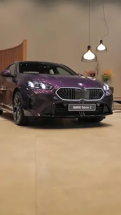 CAR MARKETING 