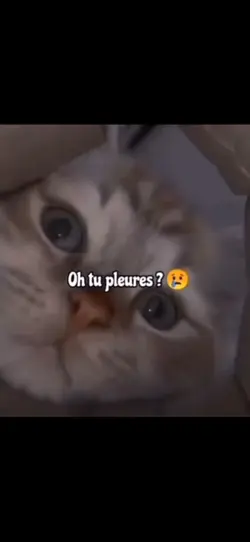 tu pleures ?