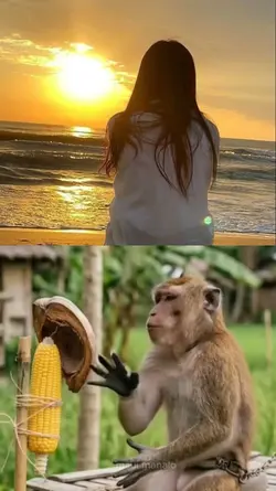 Kong kaya ko g iwana