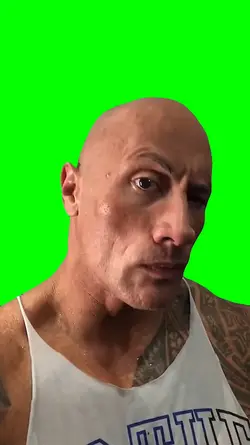 The Rock Eyebrow