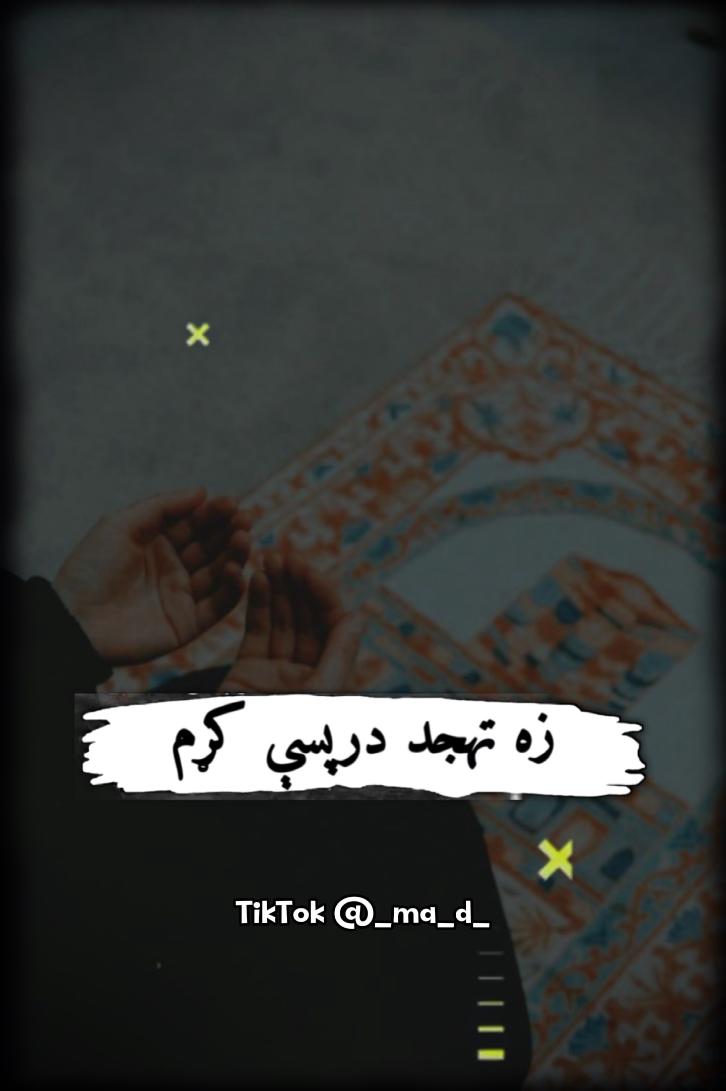 Za Thajod dar pasy 