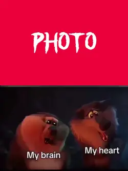 i agree agree agree