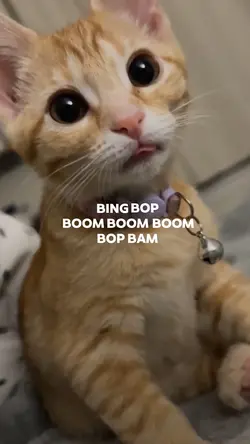 bingbambamboom🎶