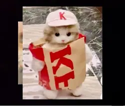 한국인/일본인
