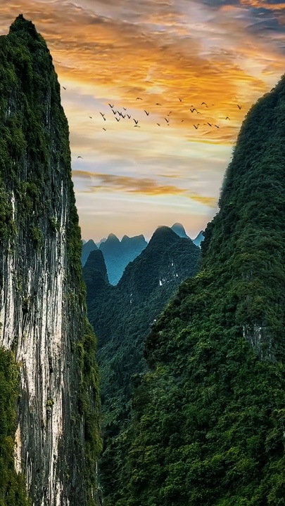 Cinematic Nature 