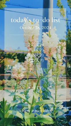 予定