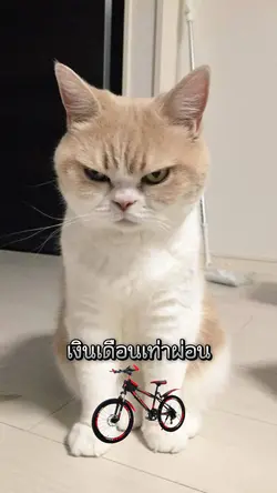 เนี่ยแหละบริษัทเรา