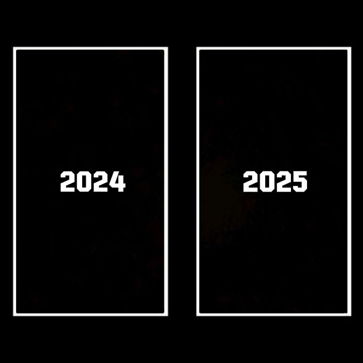 2024 vs 2025