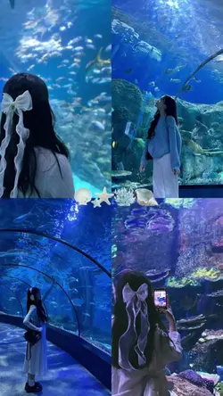 aquarium foto