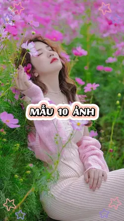 Mẫu 10 Ảnh
