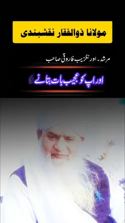 peer zulfiqar 