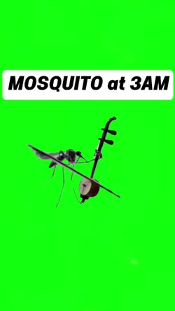 MOSQUITO AT 3 AM