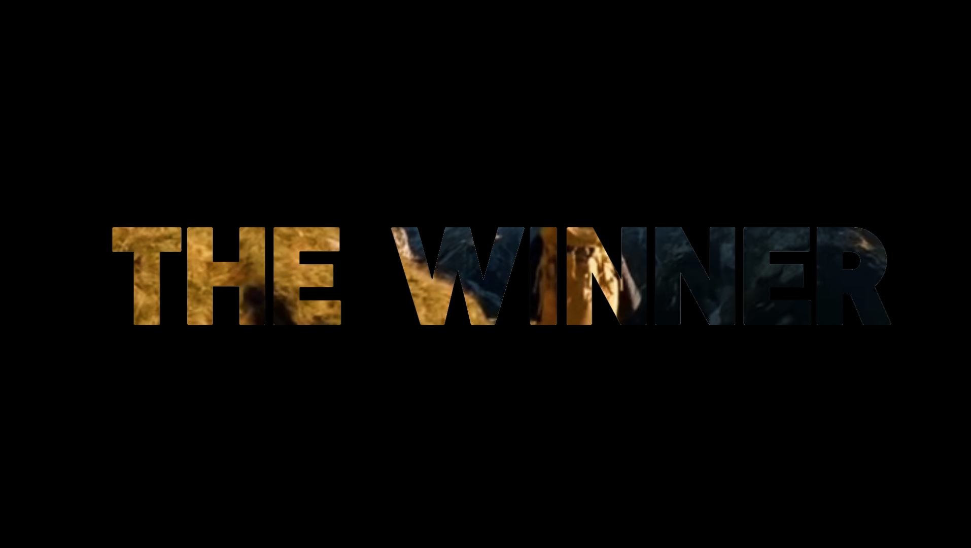 Cover Picture
