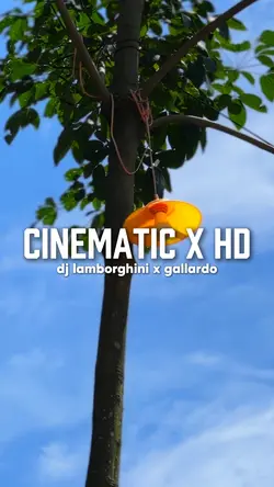 Dj lamborghini