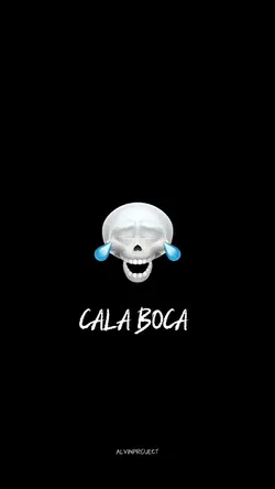 CALABOCAMONTAGE