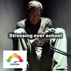 Cortisol trend