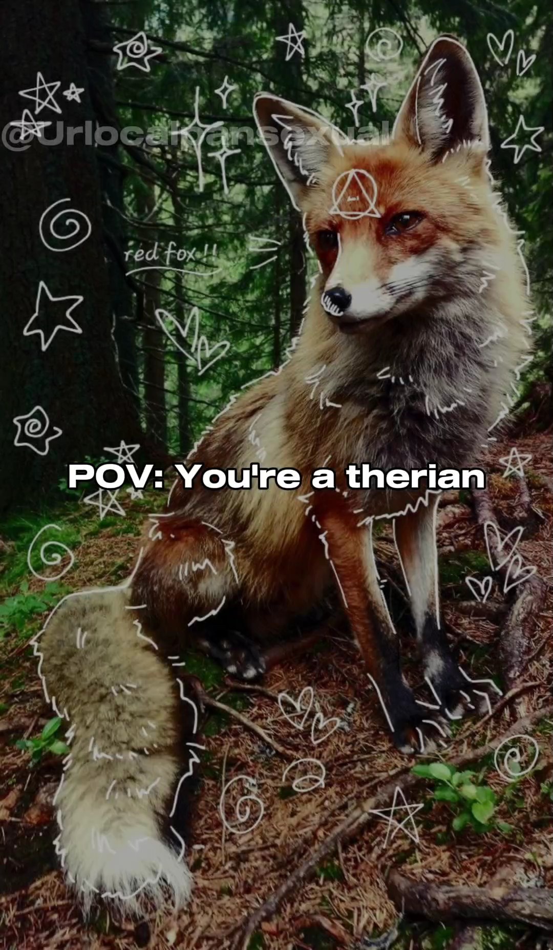 POV:You're a therian