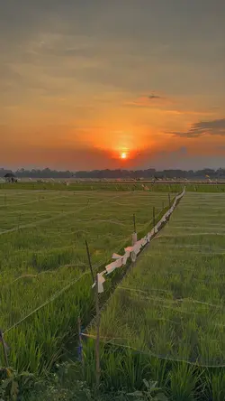 Lagu Jawa vibe Senja