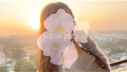 kitne phool dekhe😍