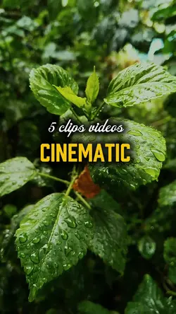 5 video cinematic 