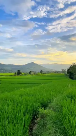 Kata kata Lucu 
