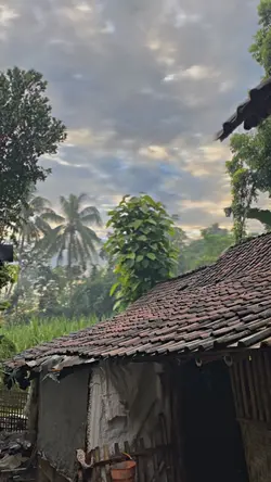 1VID BLUR HD
