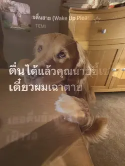 คุณนายตื่นสายย