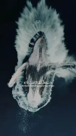 عبد الرحمان مسعد 