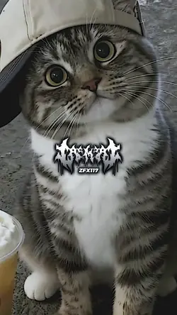 KICAU MANIA X HABIBI