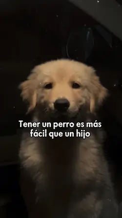 Tener un perro es...