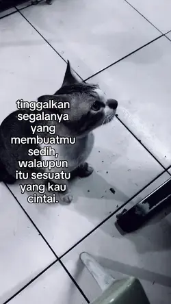 foto live kata kata