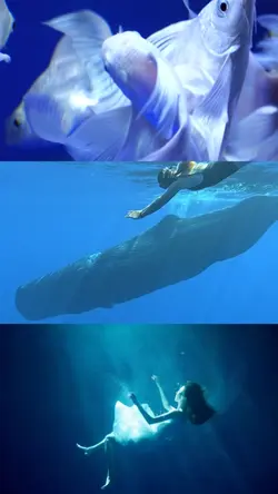 mar