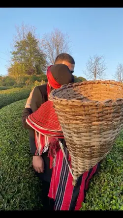 Karadeniz