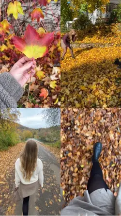 Herbst Vibes 🫶🏼🍂
