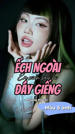 Mẫu 5 ảnh