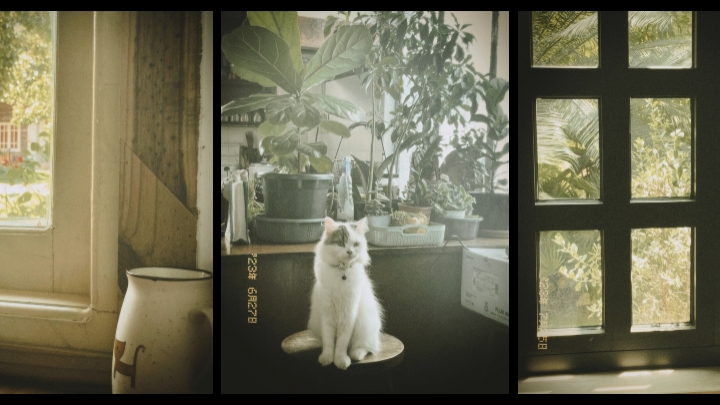 3 pict aesthetic