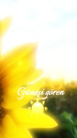 Güneşi Gören