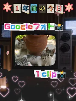 1年前の今日!!