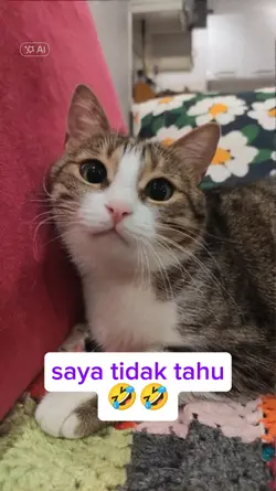 saya tidak tahu
