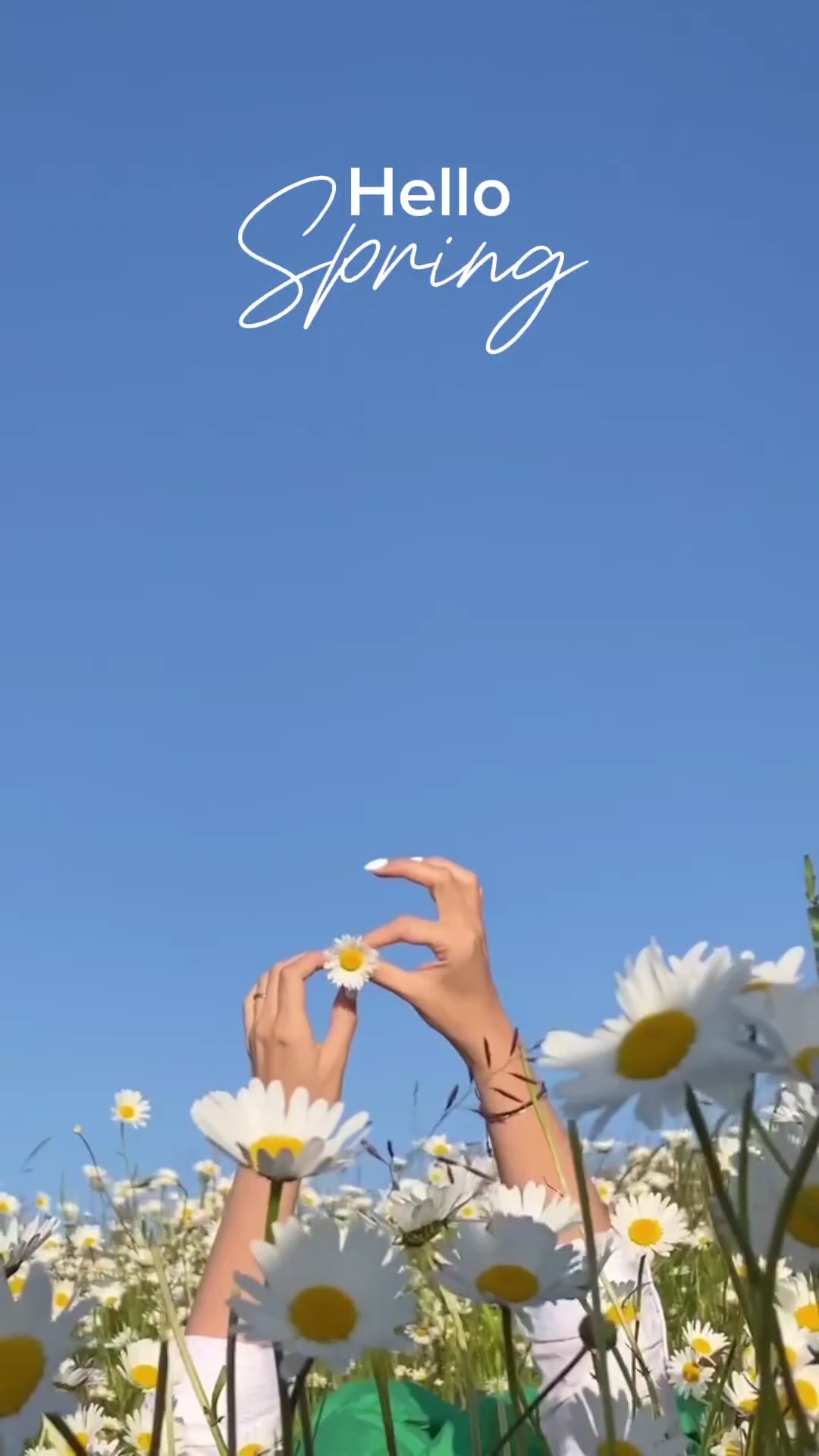 Vlog de primavera 