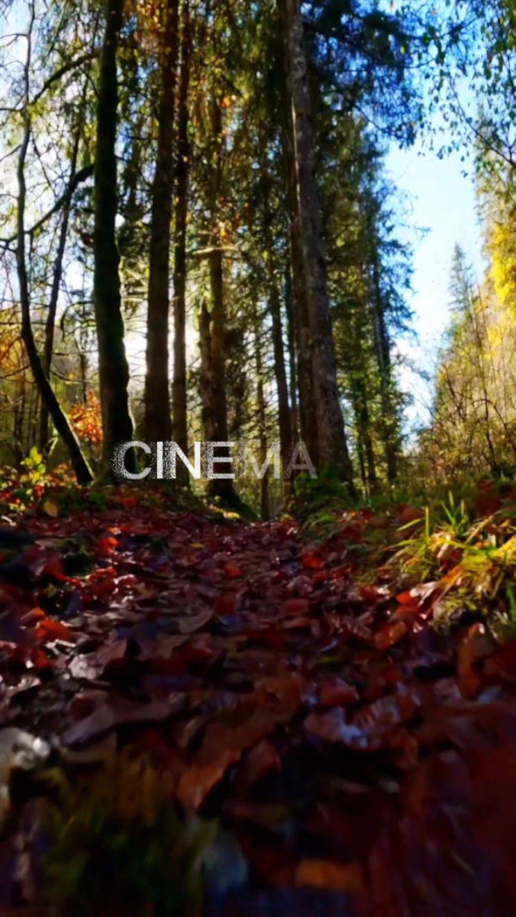 cinematic nature