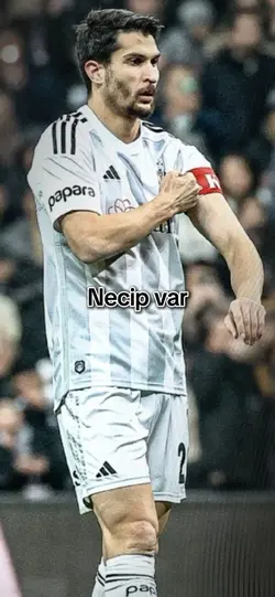 Necip var